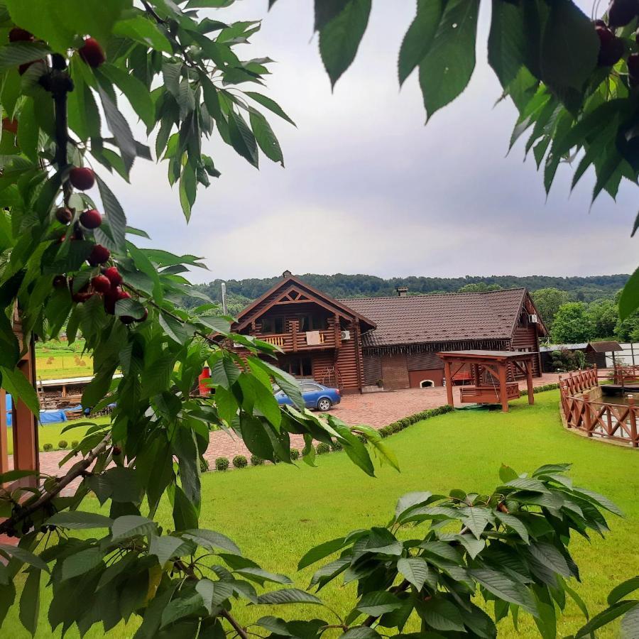 На Ставку Vila Vyzhnytsya Exterior foto